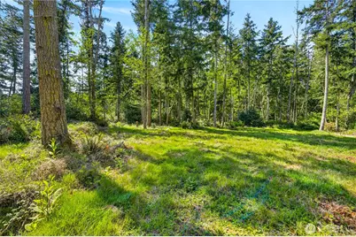0 Evergreen Lane, Freeland, WA 98249 - Photo 16