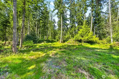 0 Evergreen Lane, Freeland, WA 98249 - Photo 14