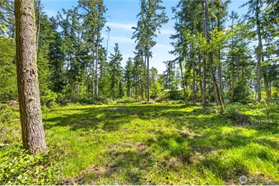 0 Evergreen Lane, Freeland, WA 98249 - Photo 12