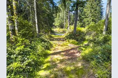 0 Evergreen Lane, Freeland, WA 98249 - Photo 8