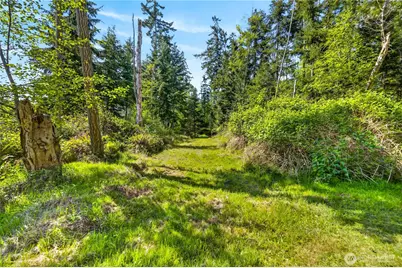 0 Evergreen Lane, Freeland, WA 98249 - Photo 18