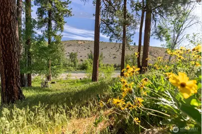 19 Mariposa Lane, Winthrop, WA 98862 - Photo 34