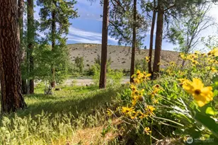 19 Mariposa Ln, Winthrop, WA 98862 - Photo 34