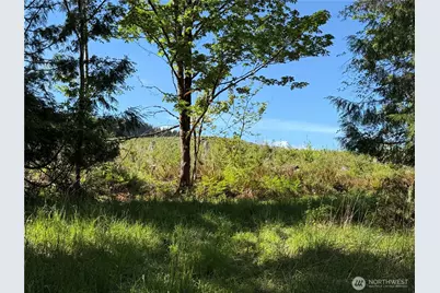 1170 W Gallagher Road, Shelton, WA 98584 - Photo 6