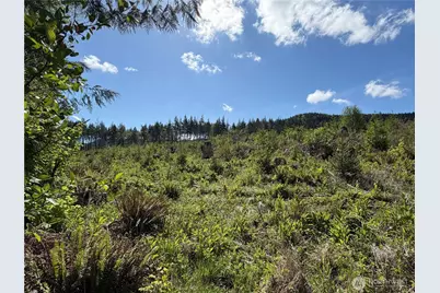 1170 W Gallagher Road, Shelton, WA 98584 - Photo 12