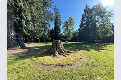 15901 108th Street E, Puyallup, WA 98374 - Photo 38