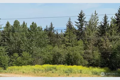 46 Cliff Robinson Lane, Sequim, WA 98382 - Photo 36