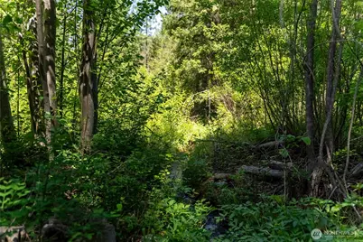 37 E Buttermilk Creek Road, Twisp, WA 98856 - Photo 28
