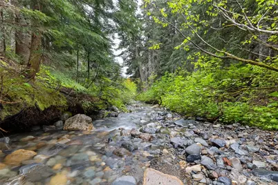 670 Yellowstone, Snoqualmie Pass, WA 98068 - Photo 38