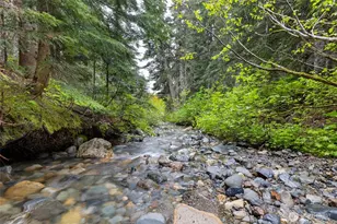 670 Yellowstone, Snoqualmie Pass, WA 98068 - Photo 38