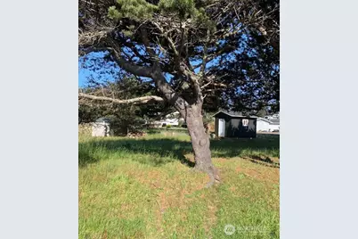 805 353rd Place, Ocean Park, WA 98640 - Photo 4