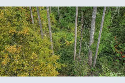 220 E Peebles Court, Shelton, WA 98584 - Photo 16