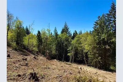 75 E Lakewood Drive, Belfair, WA 98528 - Photo 18