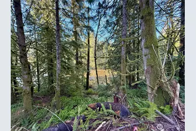 75 E Lakewood Drive, Belfair, WA 98528 - Photo 10