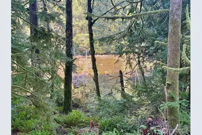 75 E Lakewood Drive, Belfair, WA 98528 - Photo 14