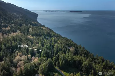 41 Raven Lane, Orcas Island, WA 98279 - Photo 38