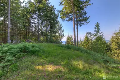 41 Raven Lane, Orcas Island, WA 98279 - Photo 2