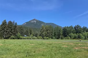 123 Campfire Ln, Packwood, WA 98361 - Photo 1