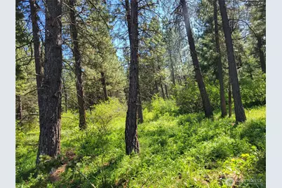 7 Summit View At Wallace Ranch, Cle Elum, WA 98922 - Photo 8