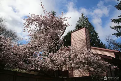 8129 NE 131st Street, Kirkland, WA 98034 - Photo 38