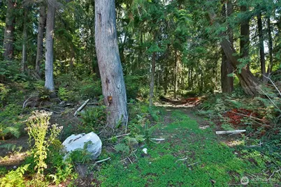 4935 Helppie Lane, Freeland, WA 98249 - Photo 30