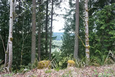 18107 213th Avenue Ct E, Orting, WA 98360 - Photo 12