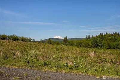 195 -82 Hagen Road, Mossyrock, WA 98564 - Photo 2