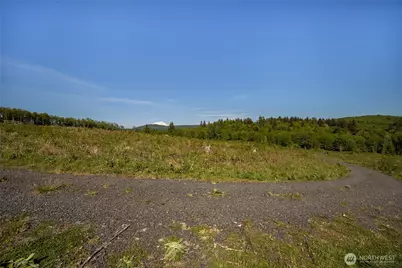 195 -82 Hagen Road, Mossyrock, WA 98564 - Photo 6