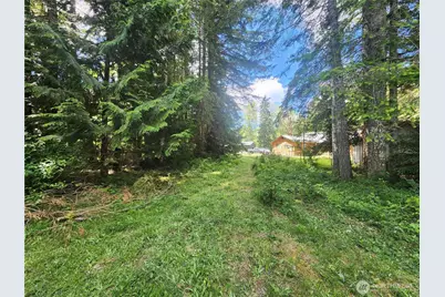 504 47 Winston Creek Road, Mossyrock, WA 98564 - Photo 16