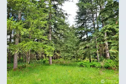 213 Sommerville Road, Chehalis, WA 98532 - Photo 28