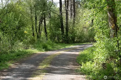 236 Gray Road, Toledo, WA 98591 - Photo 36