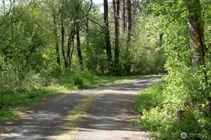 236 Gray Rd, Toledo, WA 98591 - Photo 36