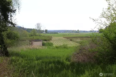 2600 Center Valley Road, Chimacum, WA 98325 - Photo 4