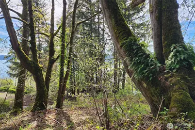 0 E Lake Sammamish Parkway NE, Sammamish, WA 98074 - Photo 8