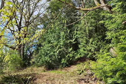 0 E Lake Sammamish Parkway NE, Sammamish, WA 98074 - Photo 12