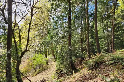 0 E Lake Sammamish Parkway NE, Sammamish, WA 98074 - Photo 14