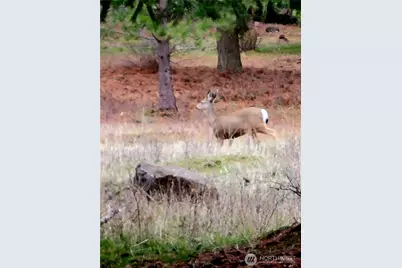 27 Summit View At Wallace Ranch, Cle Elum, WA 98922 - Photo 24
