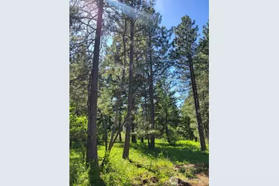 27 Summit View At Wallace Ranch, Cle Elum, WA 98922 - Photo 8