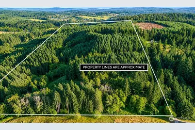 0 NE Finalburg Road, La Center, WA 98629 - Photo 1