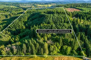 0 NE Finalburg Rd, La Center, WA 98629 - Photo 1