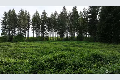 0 NE Finalburg Road, La Center, WA 98629 - Photo 22