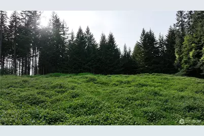 0 NE Finalburg Road, La Center, WA 98629 - Photo 20