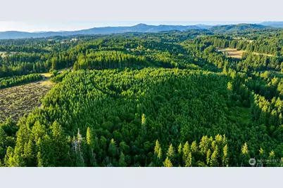 0 NE Finalburg Road, La Center, WA 98629 - Photo 4