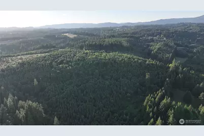 0 NE Finalburg Road, La Center, WA 98629 - Photo 32
