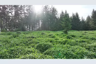 0 NE Finalburg Road, La Center, WA 98629 - Photo 18
