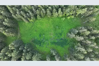 0 NE Finalburg Road, La Center, WA 98629 - Photo 26