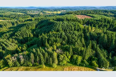 0 NE Finalburg Road, La Center, WA 98629 - Photo 6