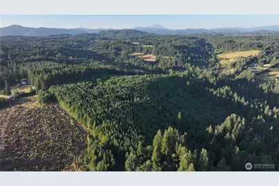 0 NE Finalburg Road, La Center, WA 98629 - Photo 34