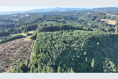 0 NE Finalburg Road, La Center, WA 98629 - Photo 28