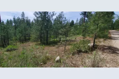 6 Lot Okanogan River Ranches Div 1, Tonasket, WA 98855 - Photo 6